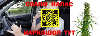 шишки Пушкино
