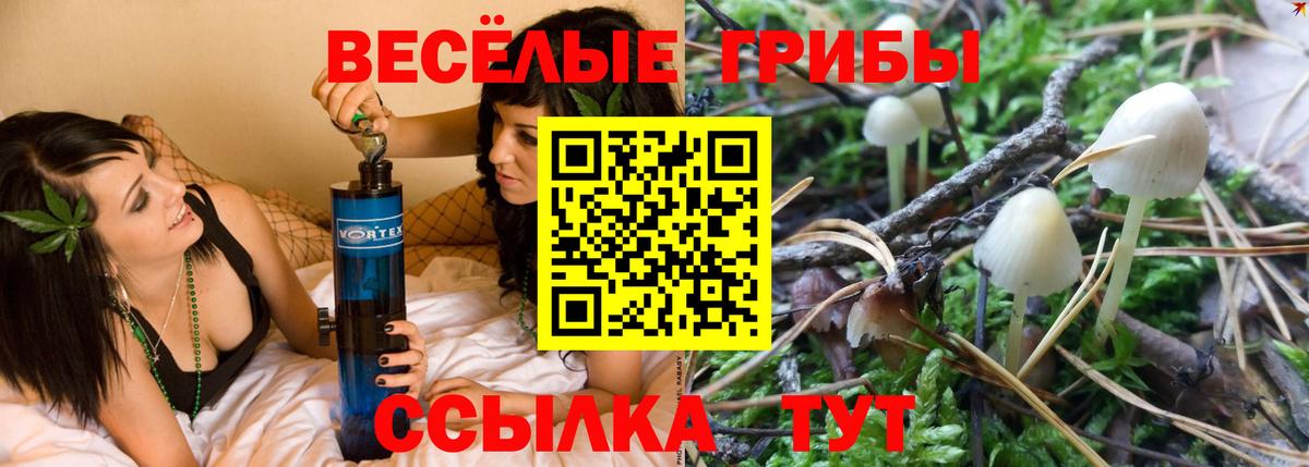 Псилоцибиновые грибы MAGIC MUSHROOMS Рассказово